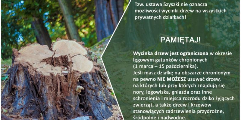 USTAWA SZYSZKI TO NIE WSZYSTKO! ZANIM WYTNIESZ – WCZYTAJ SIĘ W PRZEPISY!