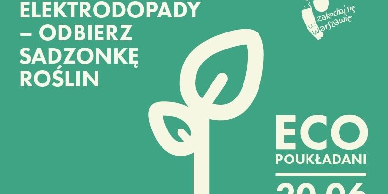 Ecopoukładani, czyli rośliny za elektroodpady