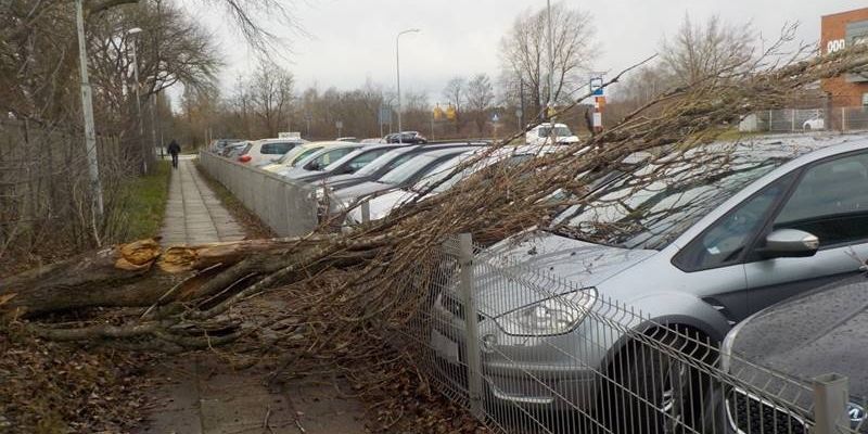 Orkan Ciara wyrządza szkody także w Warszawie