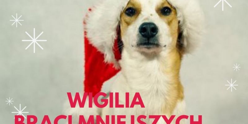 Wigilia Braci Mniejszych w Gdańskim Promyku