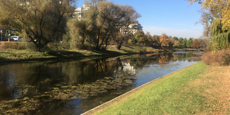 Żoliborscy radni za wieloletnią umową dzierżawy dla baru „Kępa Potocka”