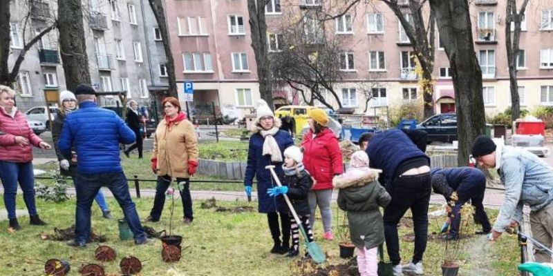 Nadszedł czas nowych nasadzeń