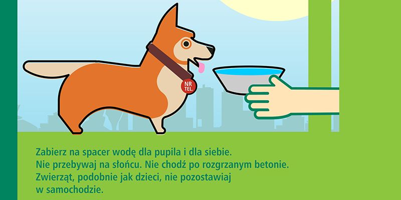 Pomóż „zwierzakom warszawiakom” przetrwać upały