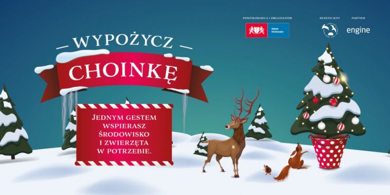 Wypożycz choinkę, pomóż zwierzętom