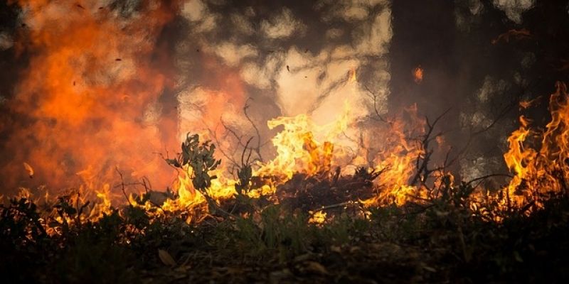 „STOP pożarom traw" – ruszyła kolejna edycja kampanii