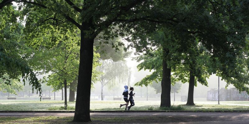 Aktywnie z Ursusem: darmowe zajęcia sportowe dla mieszkańców