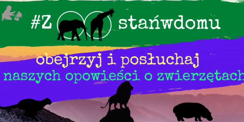 #ZOOstańwdomu – ZOObaczonline