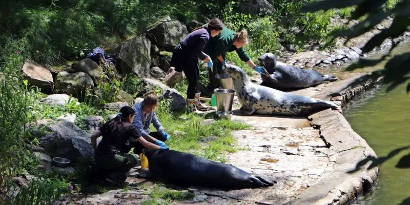 Warto popatrzeć! Jak są karmione zwierzęta w zoo?