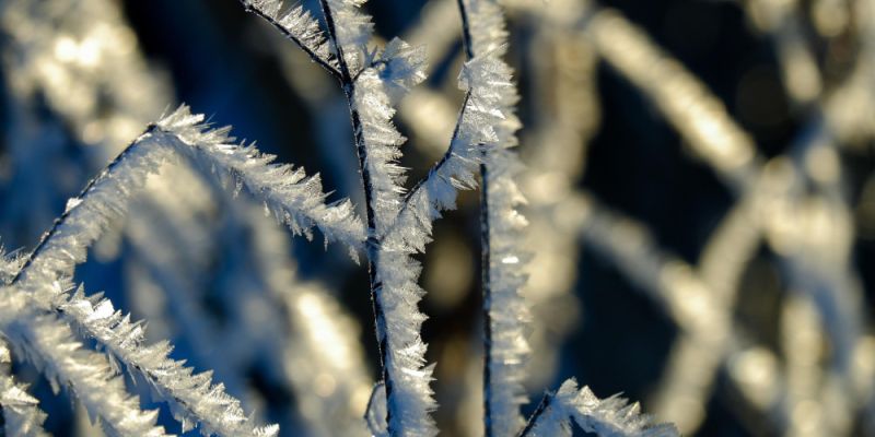 Prognoza pogody na nadchodzące dni