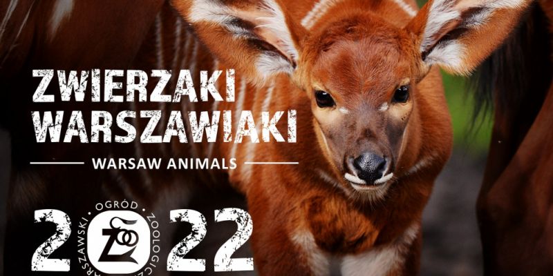 Zwierzaki Warszawiaki - kalendarz warszawskiego ZOO