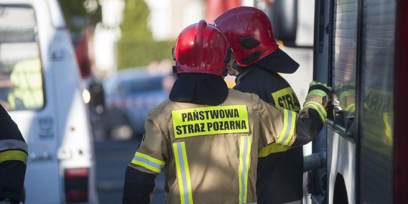 Zwęglone ciało na ROD na Pradze-Południe
