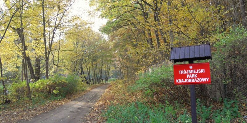 Aktywne wejścia do lasu