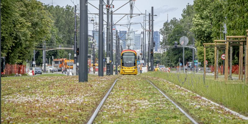 Zmiany w komunikacji miejskiej: WTP z nowym rozkładem na długi weekend listopadowy