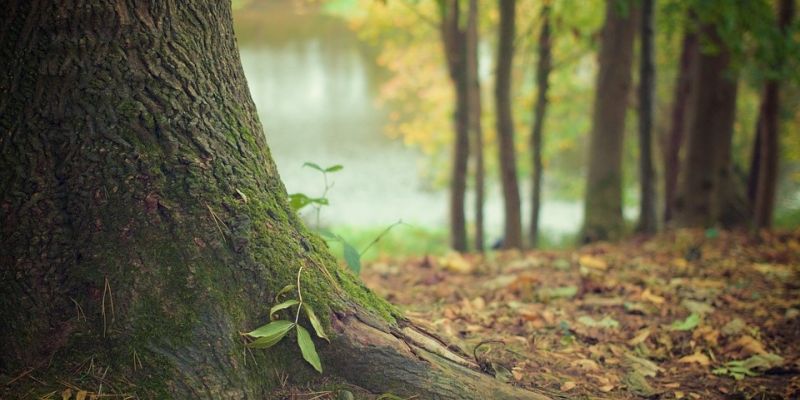 Czwartkowa wieczorna wędrówka po pracy