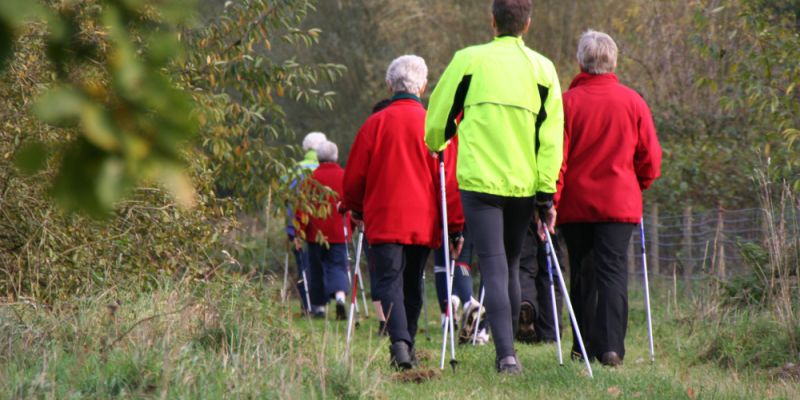 Bezpłatne zajęcia z Nordic Walking