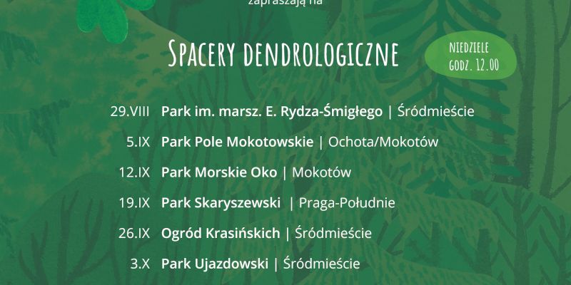 W koronach miasta – wyjątkowe spacery dendrologiczne po warszawskich parkach