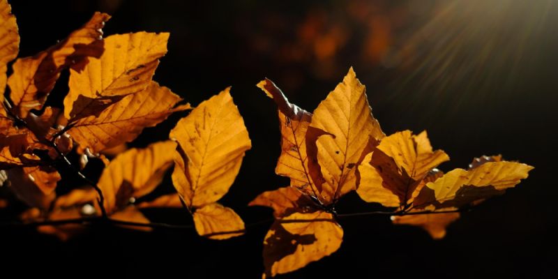 Prognoza pogody dla Warszawy na ten tydzień