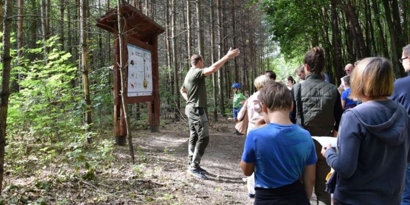 Spacery z warszawskimi leśnikami