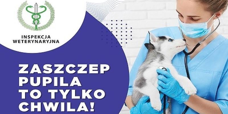 Uwaga wścieklizna!