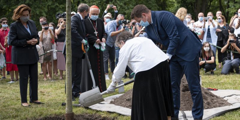 Drzewo pamięci w parku Powstańców Warszawy