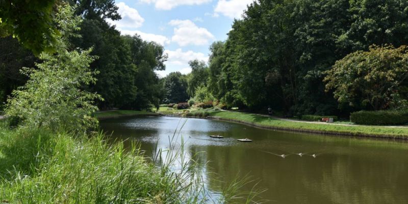 Mokotowskie stawy są coraz ładniejsze