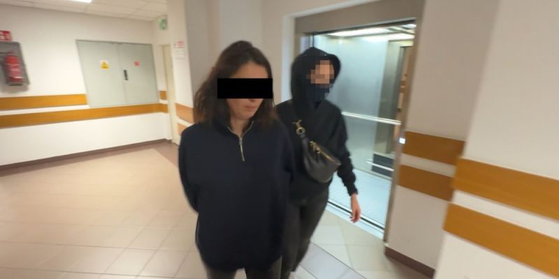 Siedmioro obywateli Gruzji zostało zatrzymanych pod zarzutem posiadania broni palnej i amunicji