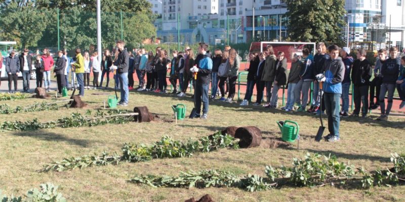 Sto dębów na stulecie Targówka