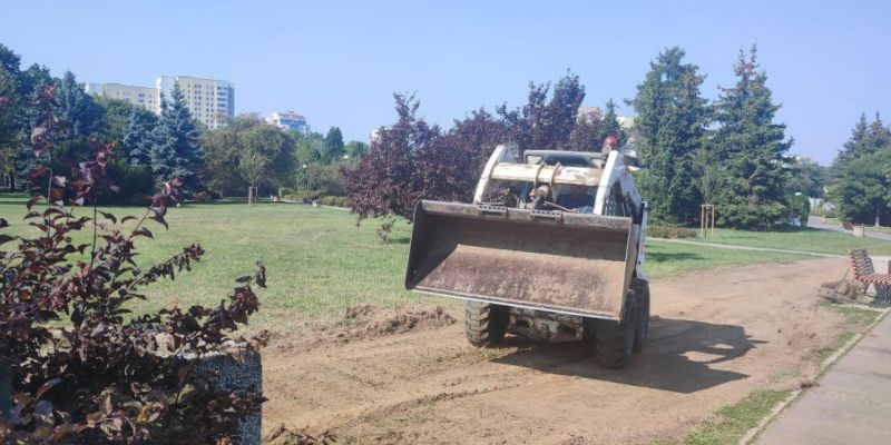 „Różanka” w Parku Bródnowskim: nowe krzewy ozdobią zieloną przestrzeń