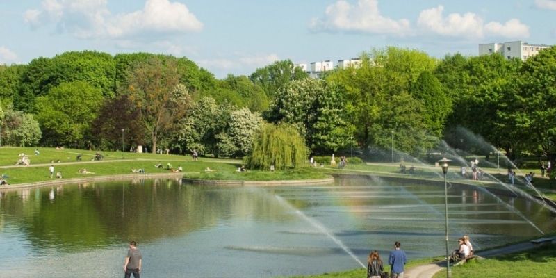 Mieszkańcy zgłosili pomysły na ratowanie trawników