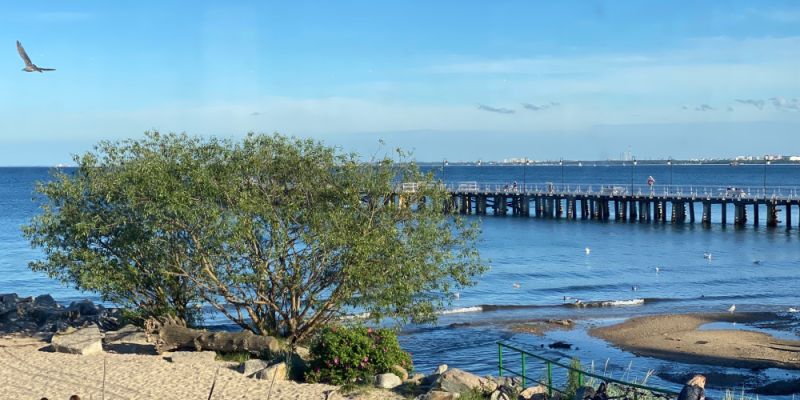 Gdynia najszczęśliwszym miastem w Polsce