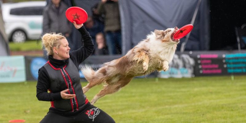 Już wkrótce w Parku Kolibki zobaczymy latające psy