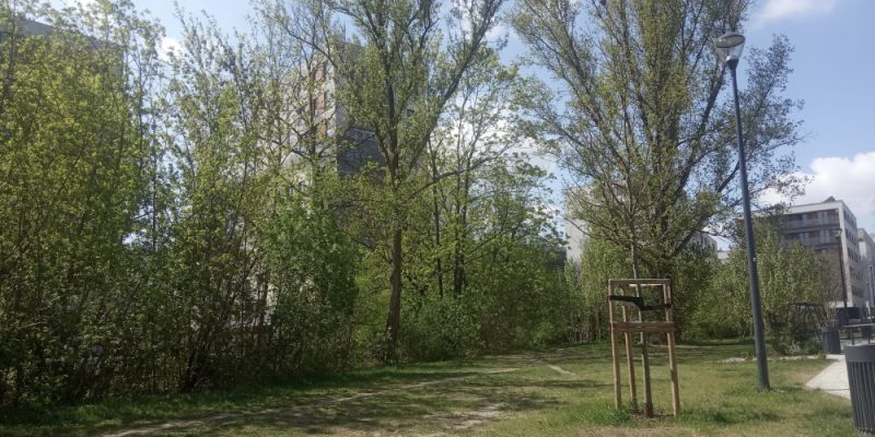 Żoliborz. Gorąca dyskusja w sprawie działki przy ul. Krasińskiego