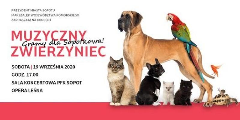 Muzyczny Zwierzyniec, czyli koncert dla Sopotkowa
