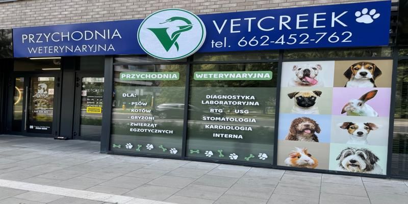 Kasetony, które świecą sukcesem – sprawdź, co potrafi P&D Idea