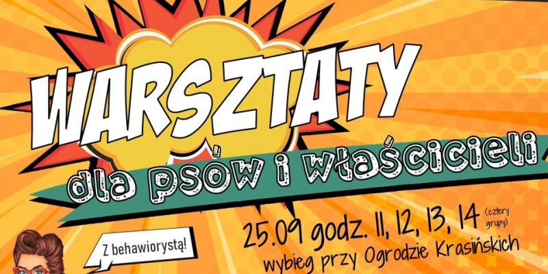 Śródmieście zaprasza na warsztaty behawiorystyczne dla psów i ich właścicieli