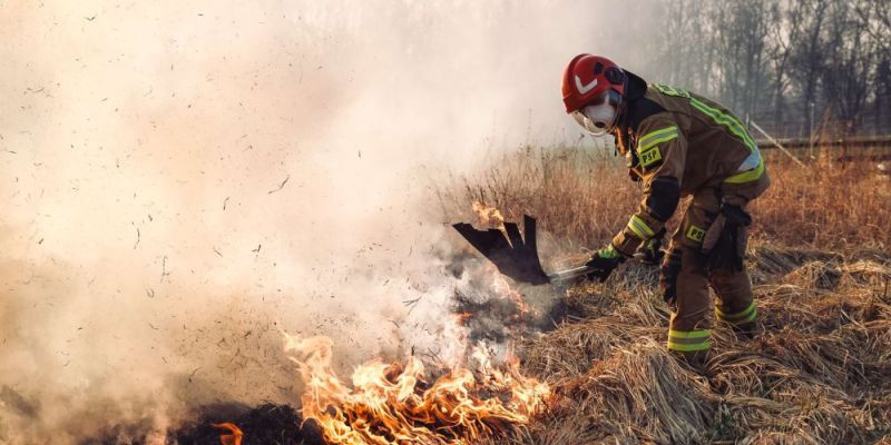 Wypalanie traw zbiera też śmiertelne żniwo. Co kieruje sprawcami?
