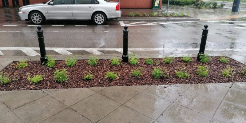 Żoliborskie „zielone” projekty z Budżetu Obywatelskiego 2022