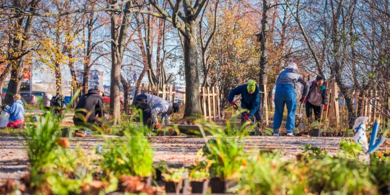 Skwer Matysiaków na Powiślu przechodzi metamorfozę: zyska nową zieleń i funkcjonalne udogodnienia