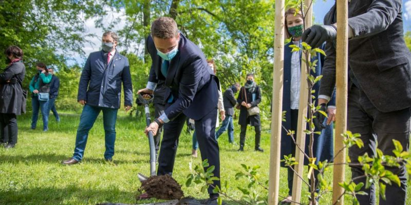 Sad samorządności na 30-lecie wyborów