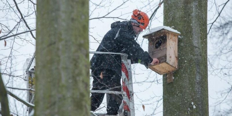 Budki lęgowe gotowe na wiosenne ptasie gody