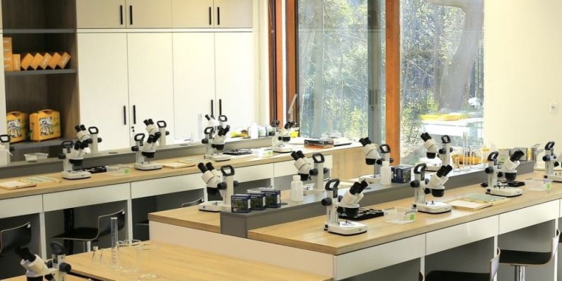 Eksperymenty i mikroskopy dla rodzin - naukowe zajęcia już 9 maja
