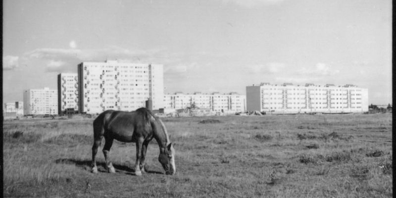 Fotograficzne perełki na śmietniku