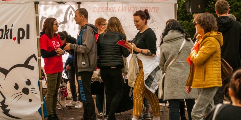 Spacer Adopciaków 2019