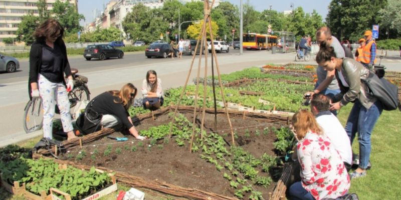 Plac Na Rozdrożu z Miejskim Ogrodem Warzywnym