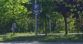 Kobieta-drzewo zatrzymana. Grozi jej do 5 lat pozbawienia wolności