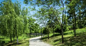 Mieszkańcy Grochowa chcą nowego parku przy torach. Powstał pomysł Grochowskiego Parku Linearnego