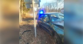 18-latek uderzył samochodem w drzewo. Próbował zrzucić winę na przebiegające sarny