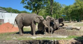 Słynny brytyjski dziennik odkrywa uroki Warszawy