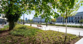 Zielona metamorfoza Placu Bankowego: Zakończenie prac przy Błękitnym Wieżowcu