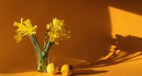 Zaangażuj się w akcję „Żonkile” - wolontariat w 83. rocznicę powstania w getcie warszawskim